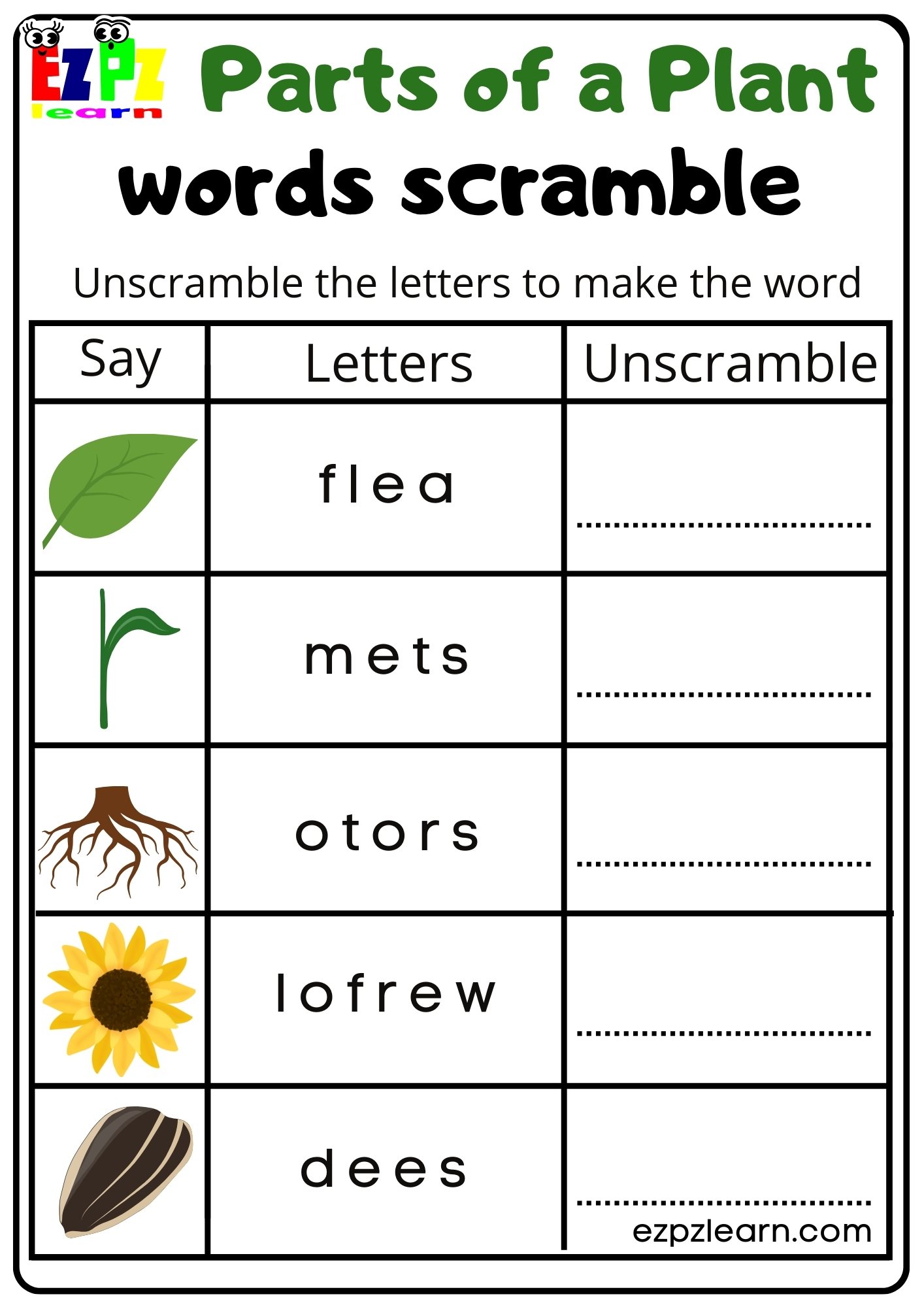 Parts of a Plant Vocabulary Word Scramble Activity for Kindergarten or ESL Students Free Printable PDF Download 